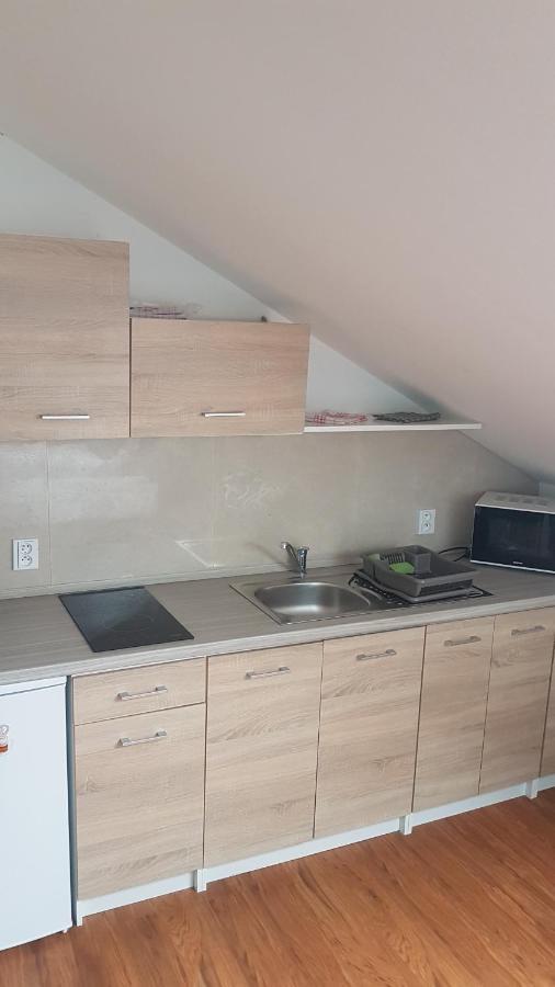 S Kuchyni Pro Tri Apartment Uhersky Brod
